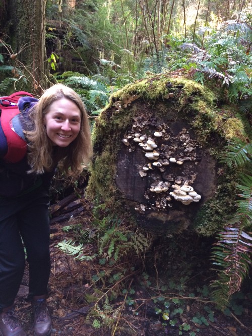 Claire and some cute decomposer fungi