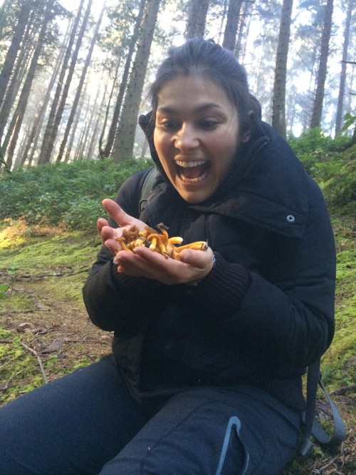 and finally ! the mother lode! Winter chanterelles!