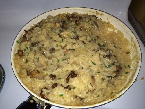 wild mushroom risotto with onions, parmesan, and foraged mushrooms