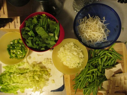 onions, green onions, lettuce, green beans, bean sprouts, and lettuce washed and prepped and ready to go!