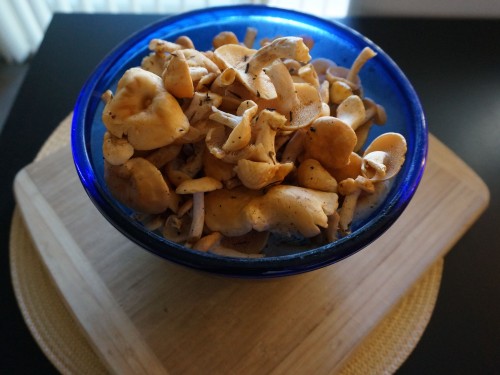 Bowl of hedgehog bounty