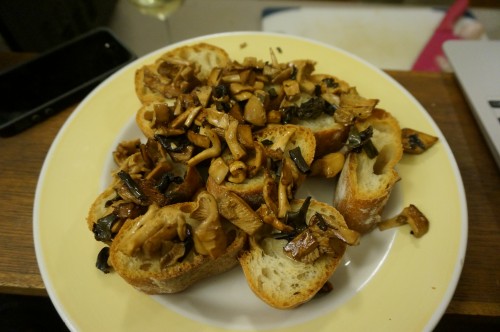 wild mushrooms (chanterelles, hedgehogs, black trumpets) on toast