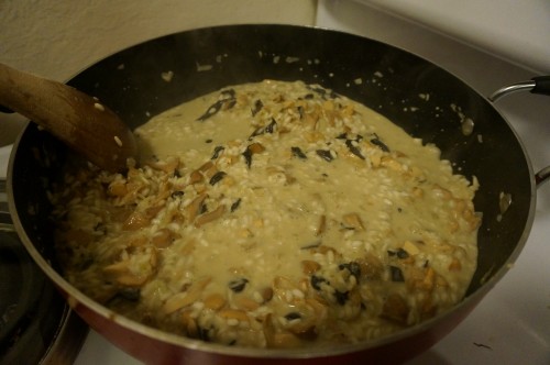 risotto cooking