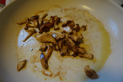 Browned hedgehog mushrooms.